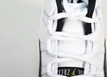 Hyperoad “DMP” Jordan Air 11 0615
